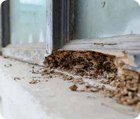 inspection-6